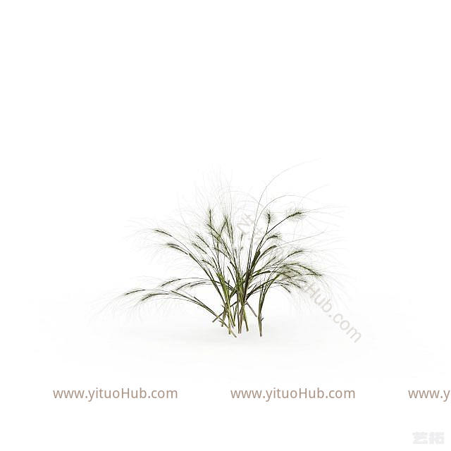 现代野草模型