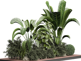 现代植物堆绿植植物景观su模型
