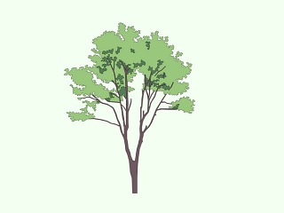 2D植物树