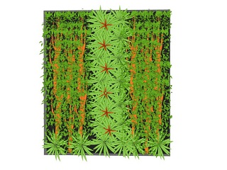 绿植墙