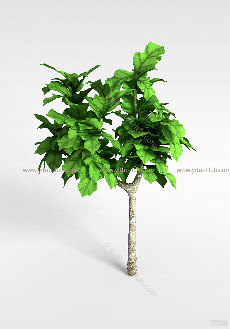 现代景观绿植模型