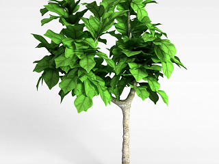 景观绿植模型