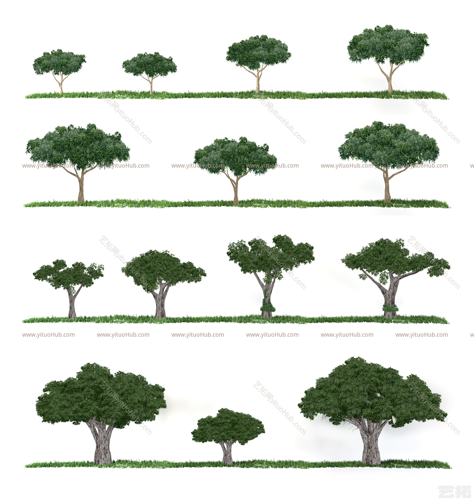 现代省面植物树简模