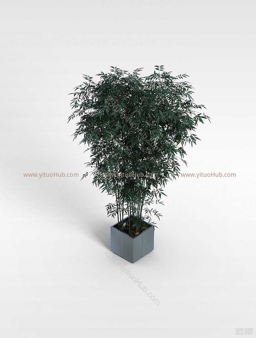 现代绿色室内植物模型