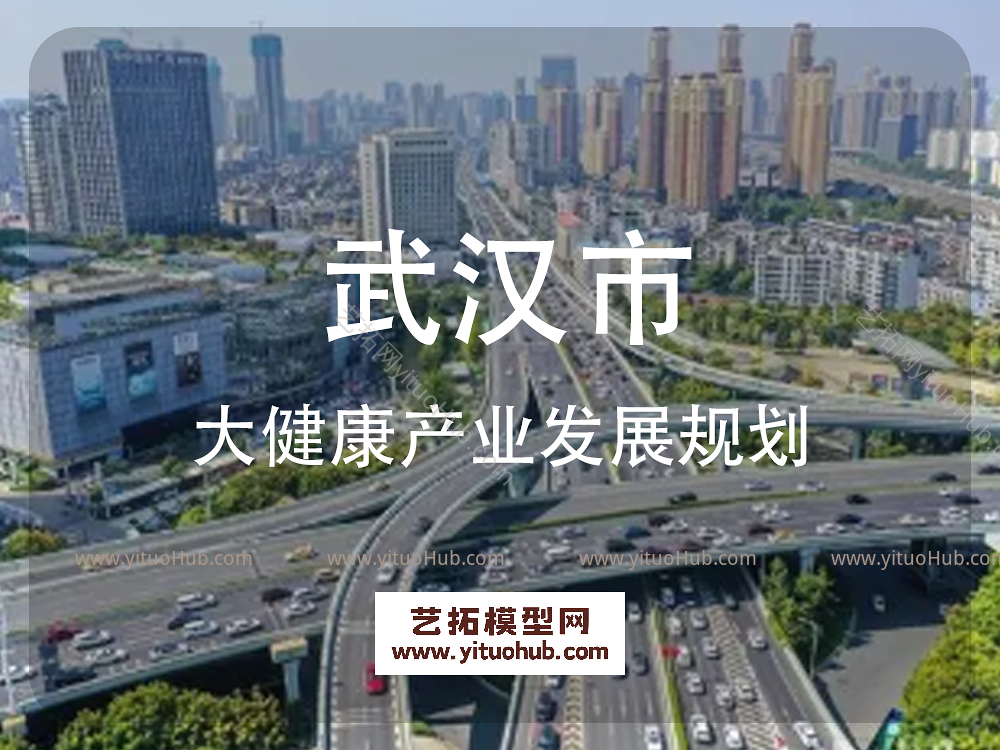 武汉市大健康产业发展规划