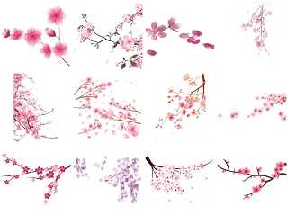 樱花免抠素材