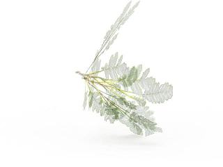 绣花模型