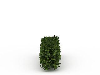 现代景观树模型