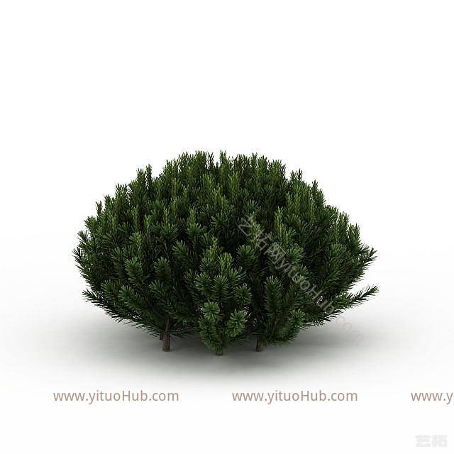 现代常青植被模型