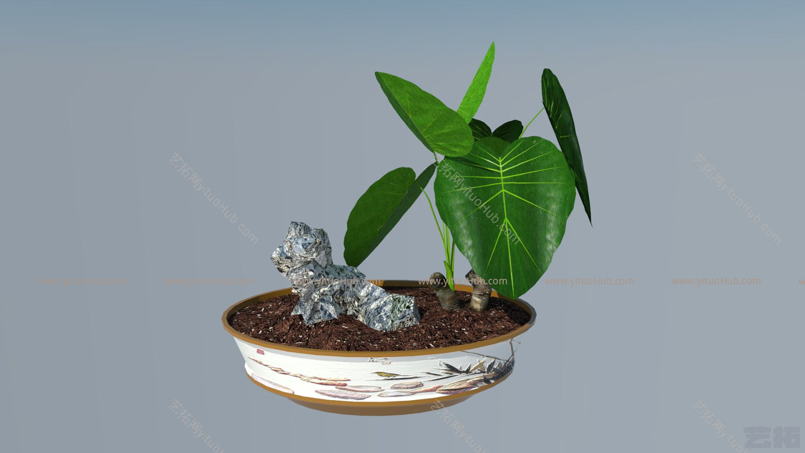 SU3D模型—植物滴水观音
