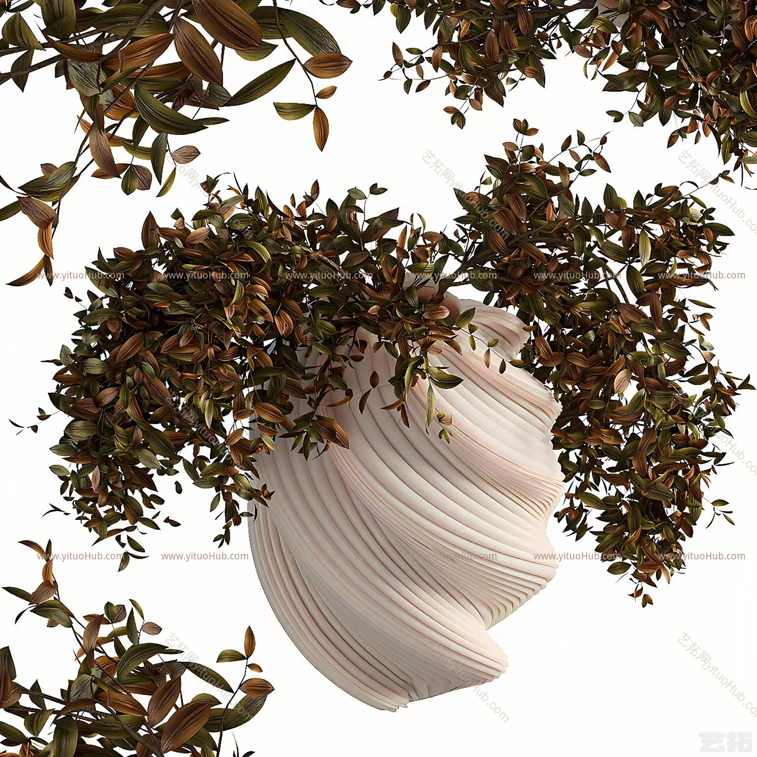 现代植物花瓶