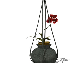 现代吊挂植物 绿植 吊篮盆栽