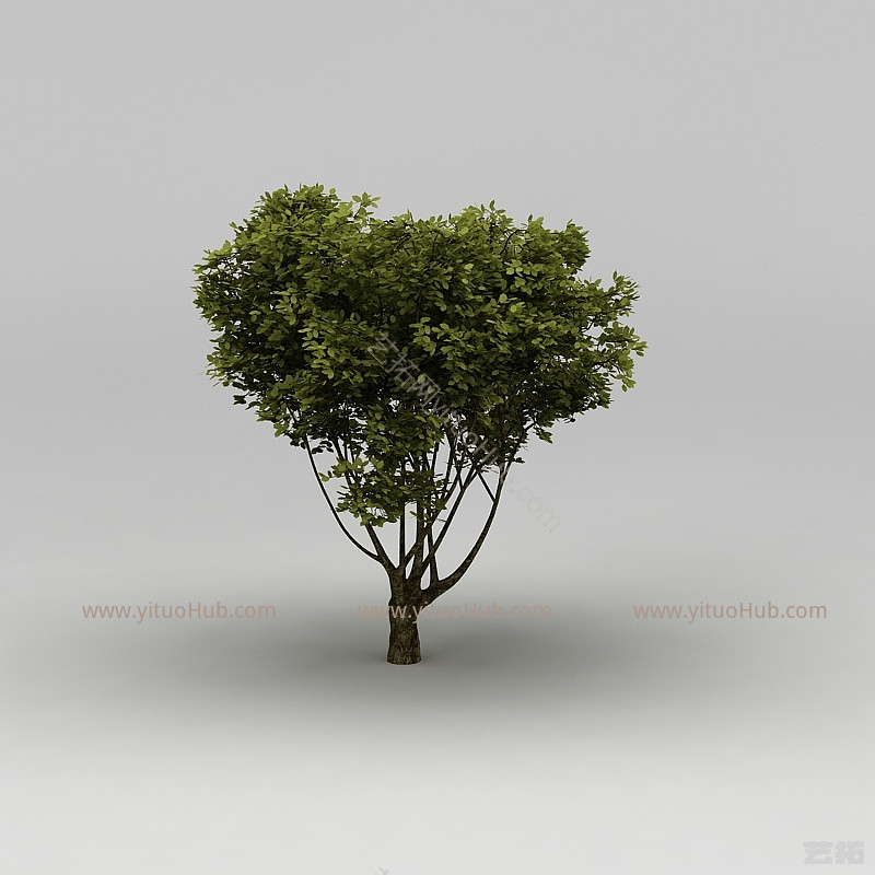 现代植物大树模型