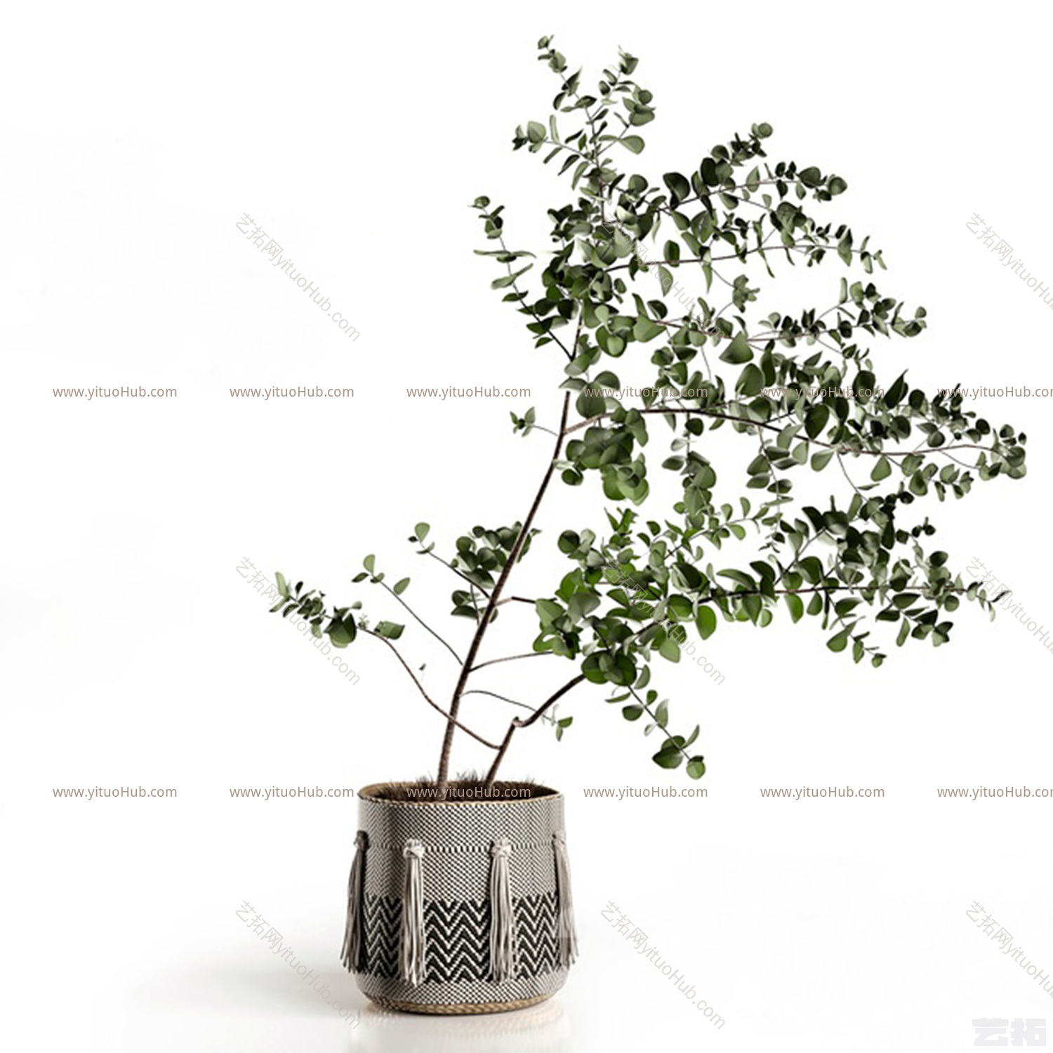 现代盆栽