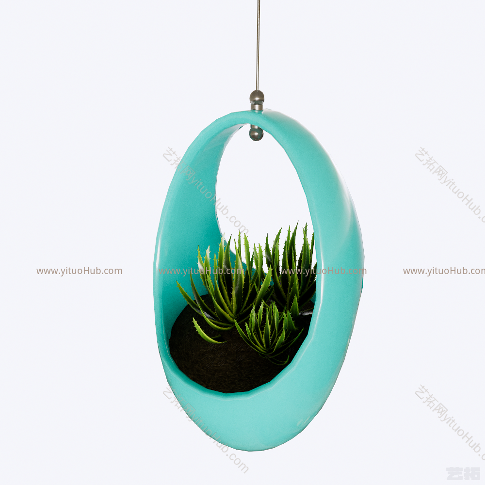 吊挂植物盆栽2