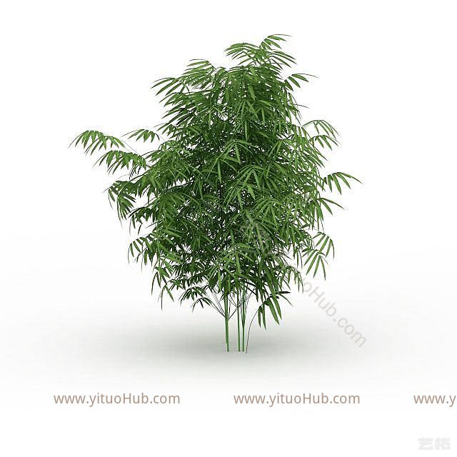 现代园林植物竹子模型