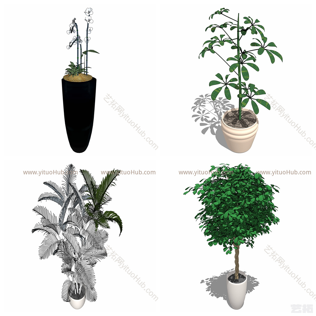 现代花草栽培其他 花瓶 植物 画 盆