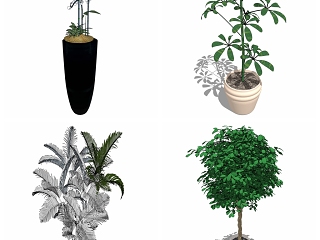 现代花草栽培其他 花瓶 植物 画 盆