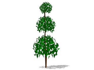 3D植物树