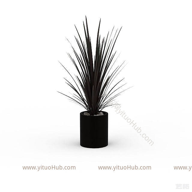 现代植物盆栽模型