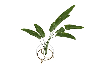 室内外植物盆栽花架花墙