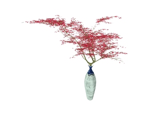 室内外植物盆栽花架花墙红色枫叶