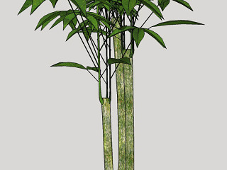 现代室内绿植盆栽