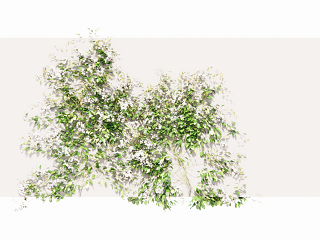 现代绿植墙