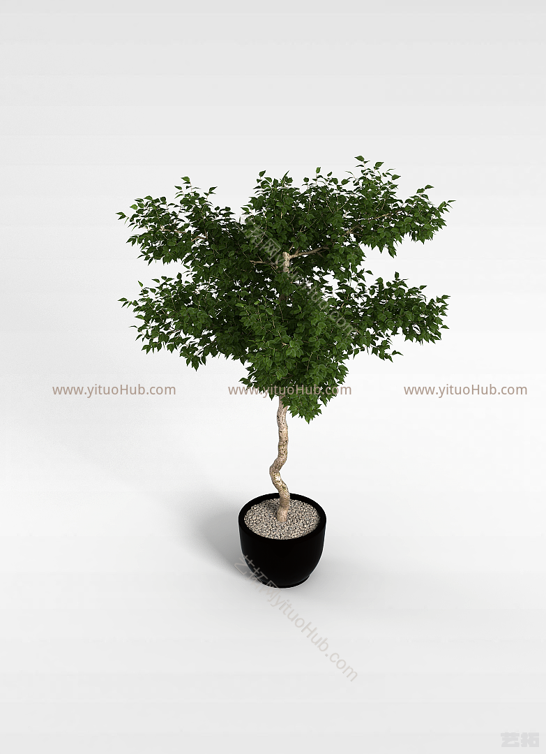 现代盆栽室内植物模型