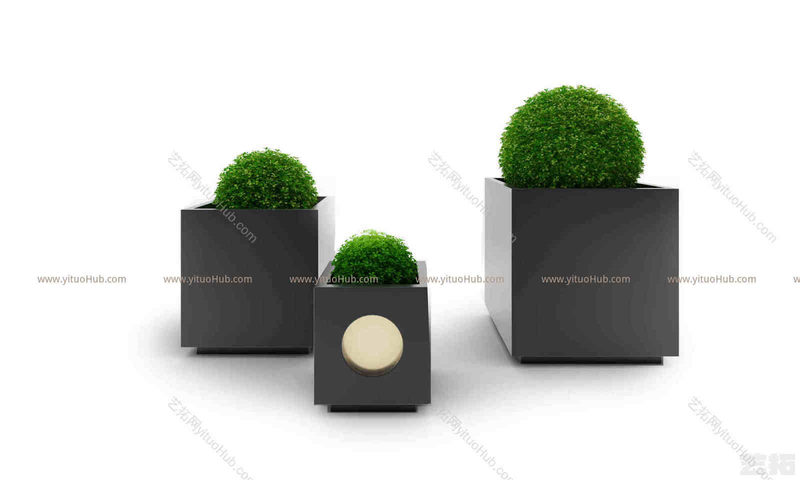 现代绿植盆栽植物组合
