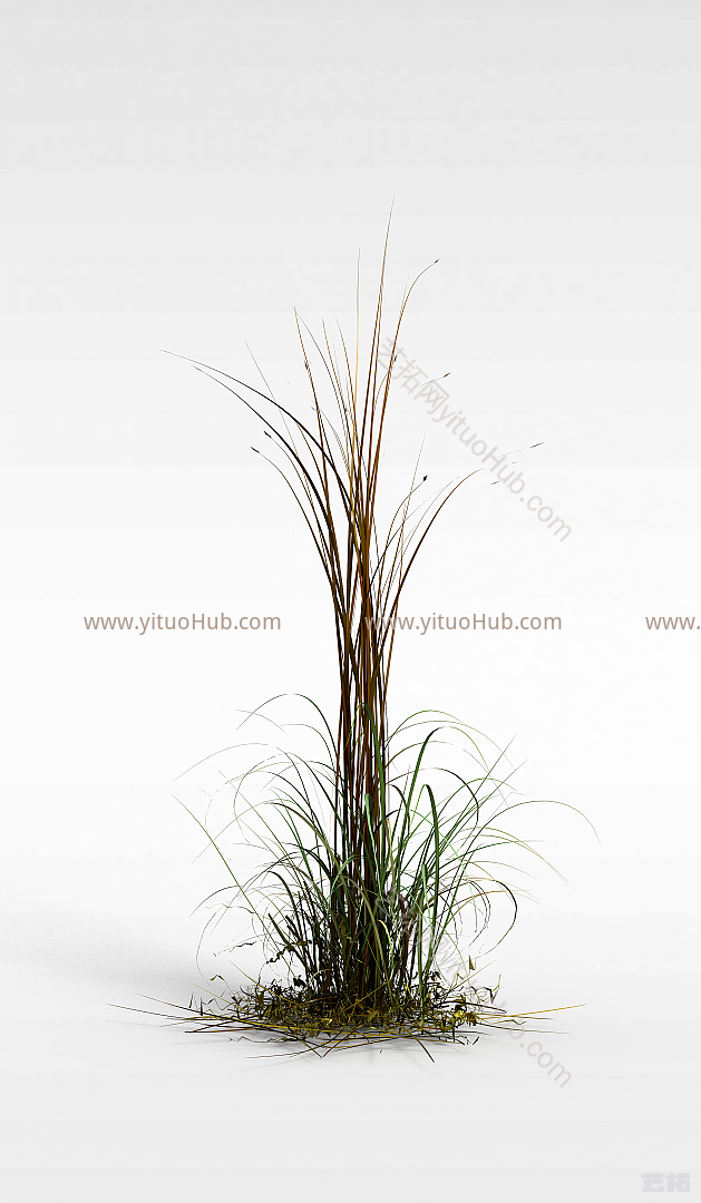 现代野草模型