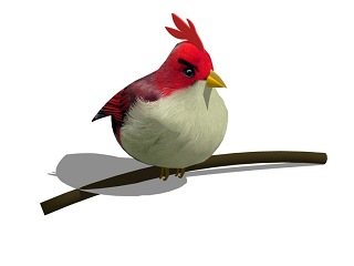 鸟