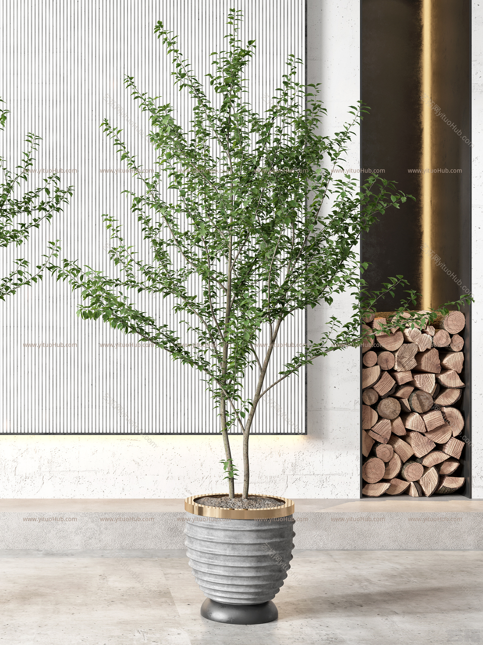 现代盆栽 盆景 植物组合