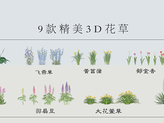 现代花草