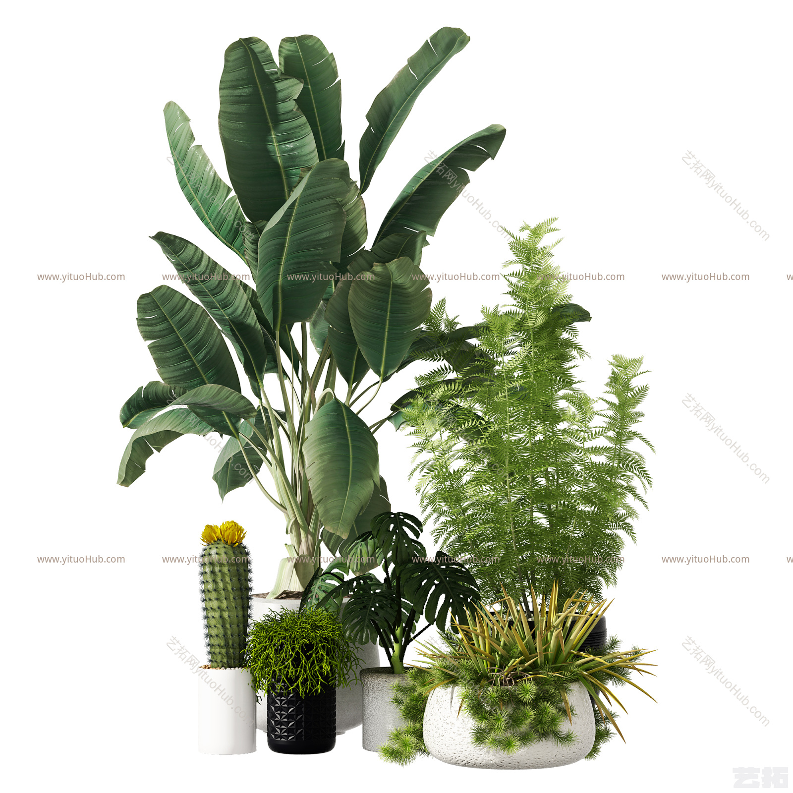 现代植物盆栽
