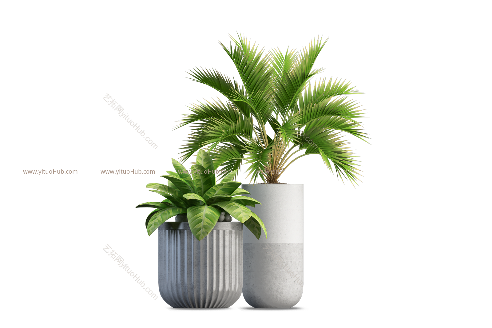 盆栽植物