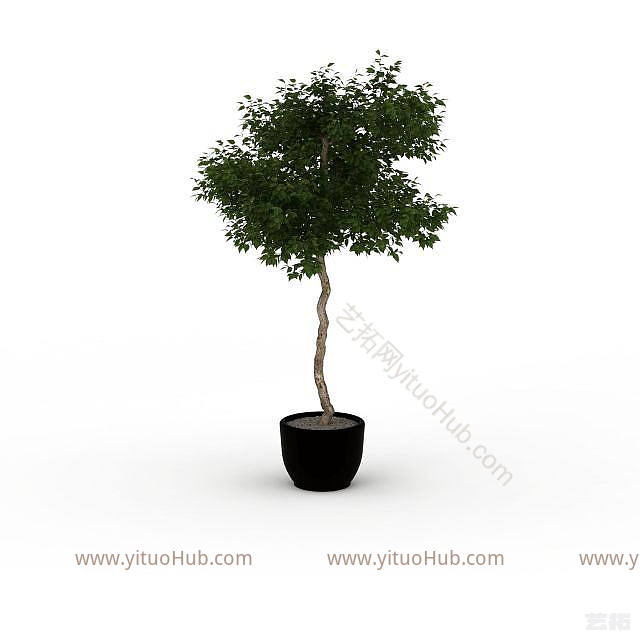 现代盆栽室内植物模型