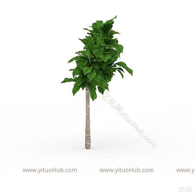 现代景观绿植模型