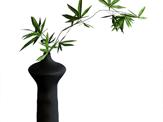 现代植物摆件
