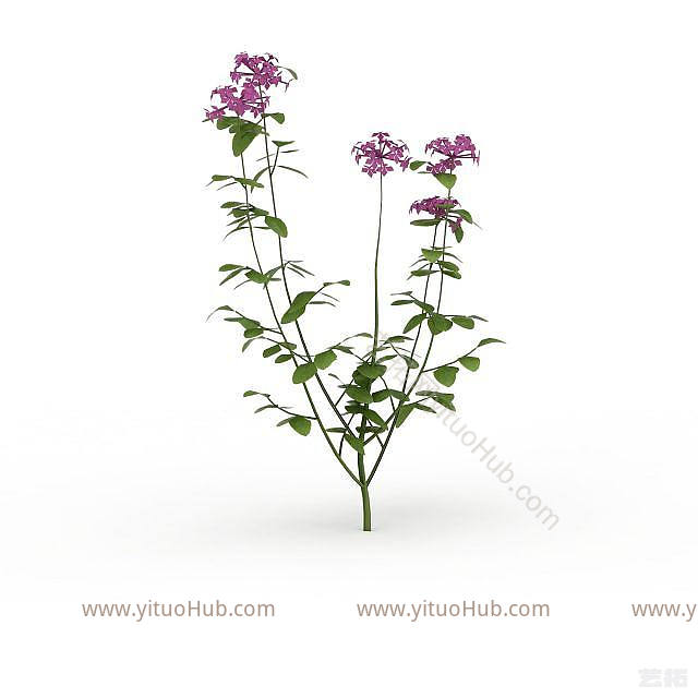 现代紫色花朵模型