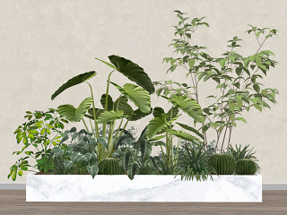 现代植物组合_花箱盆景SU模型