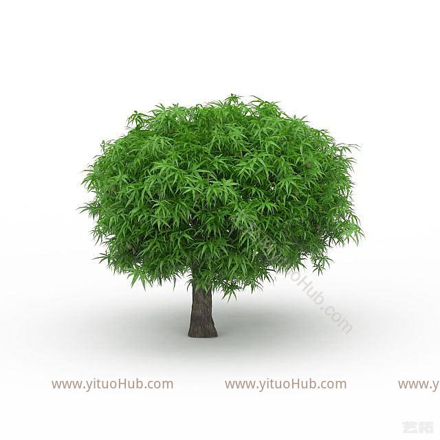 现代小榕树模型