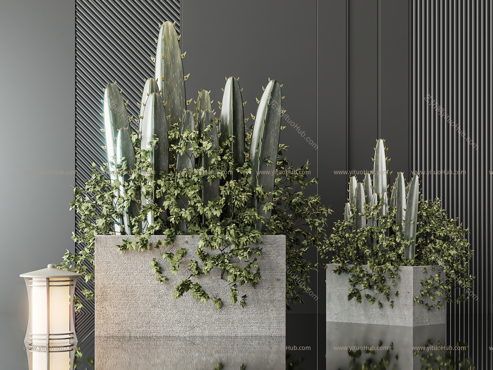 现代植物花槽