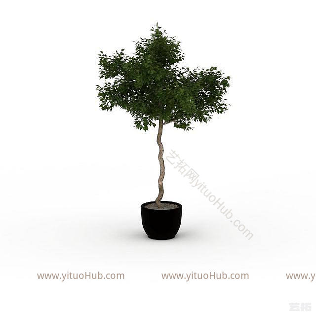 现代盆栽室内植物模型