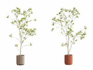现代植物盆景盆栽 植物装饰摆件 树枝盆栽摆件 花艺花卉 陶瓷花盆摆件