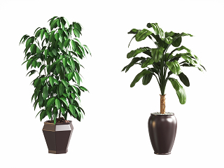 现代植物盆景盆栽 植物装饰摆件 树枝盆栽摆件 花艺花卉 陶瓷花盆摆件