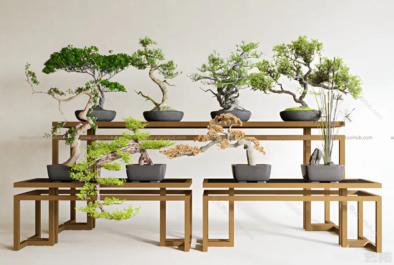现代松树盆栽 盆景 花架