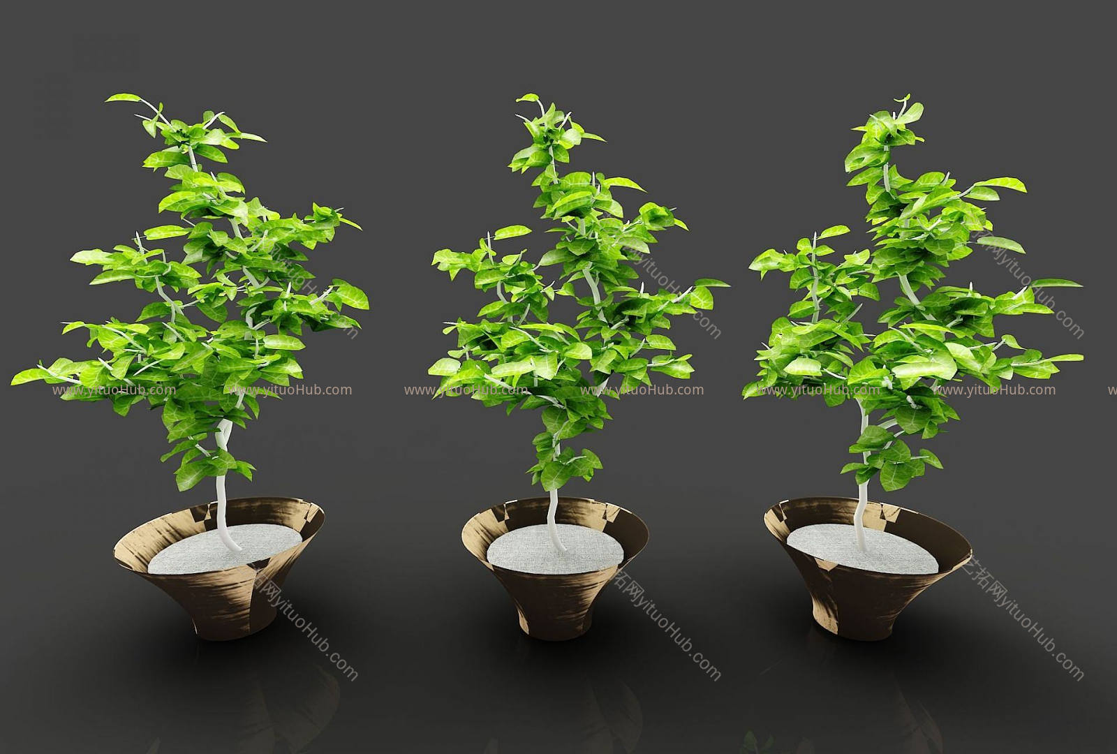 现代装饰植物模型