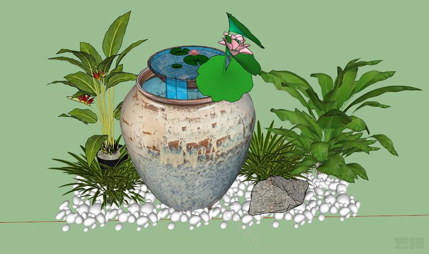 水景植物景观花瓶