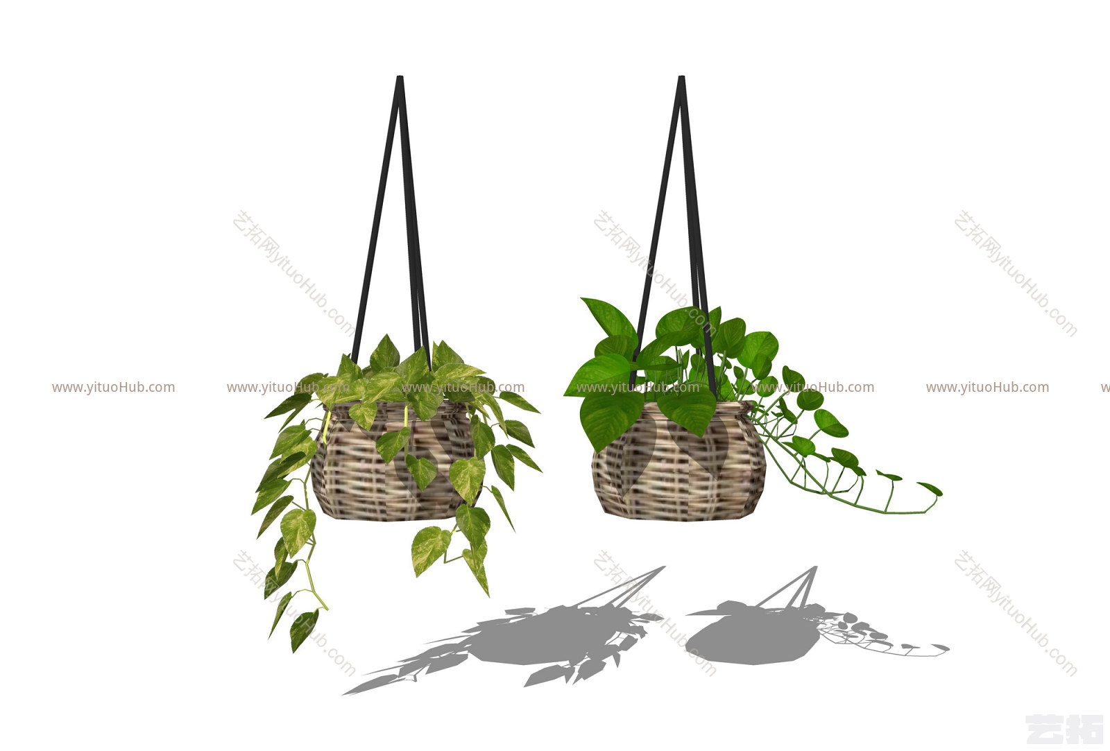 现代吊挂植物 绿植 吊篮盆栽